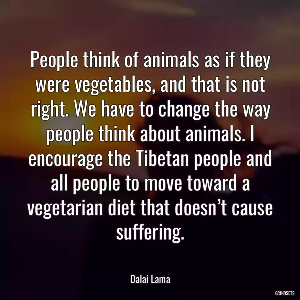 People think of animals as if they were vegetables, and that is not right. We have to change the way people think about animals. I encourage the Tibetan people and all people to move toward a vegetarian diet that doesn’t cause suffering.