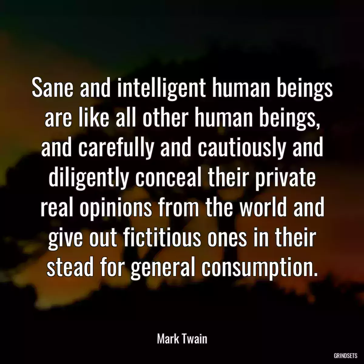 Sane and intelligent human beings are like all other human beings, and carefully and cautiously and diligently conceal their private real opinions from the world and give out fictitious ones in their stead for general consumption.