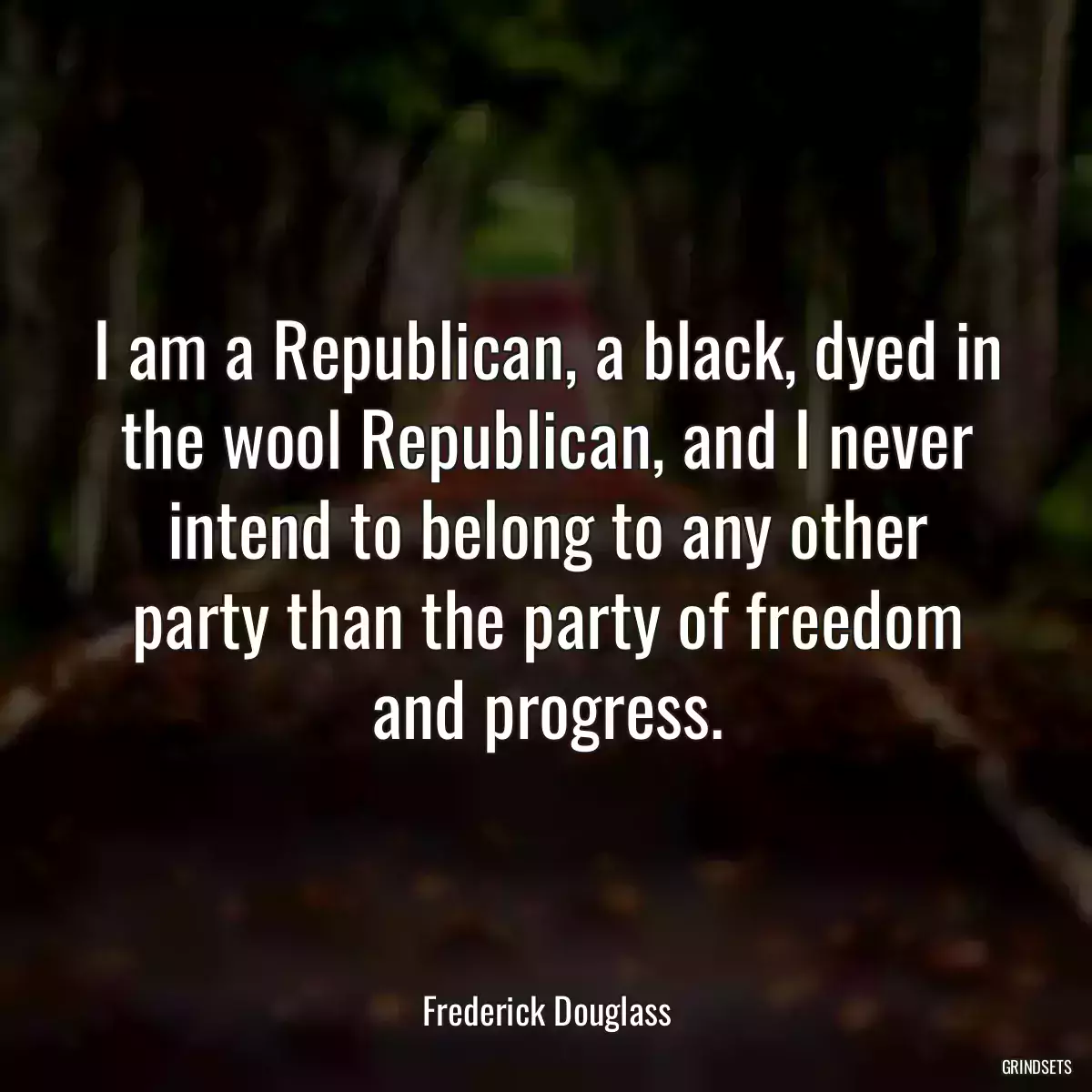 I am a Republican, a black, dyed in the wool Republican, and I never intend to belong to any other party than the party of freedom and progress.