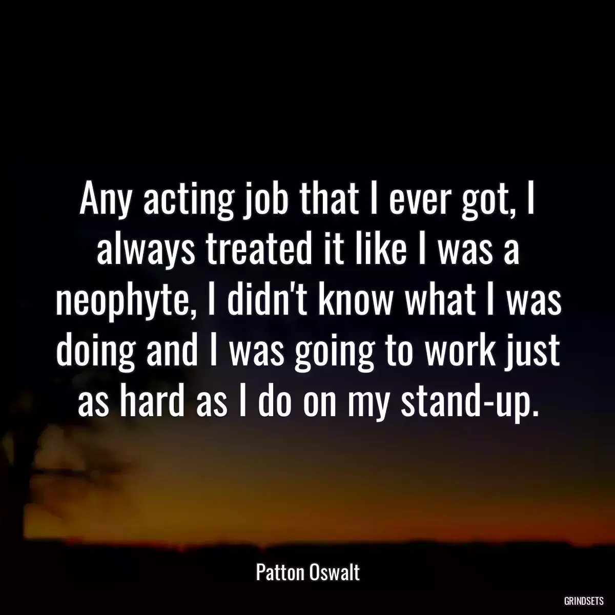 Any acting job that I ever got, I always treated it like I was a neophyte, I didn\'t know what I was doing and I was going to work just as hard as I do on my stand-up.