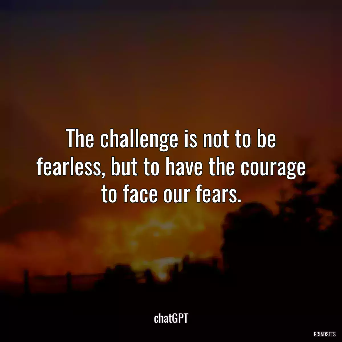 The challenge is not to be fearless, but to have the courage to face our fears.