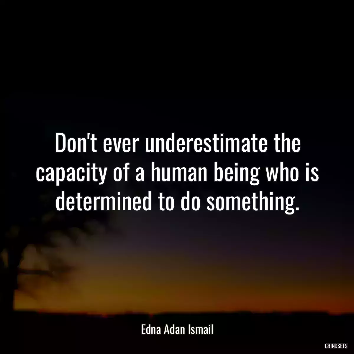 Don\'t ever underestimate the capacity of a human being who is determined to do something.