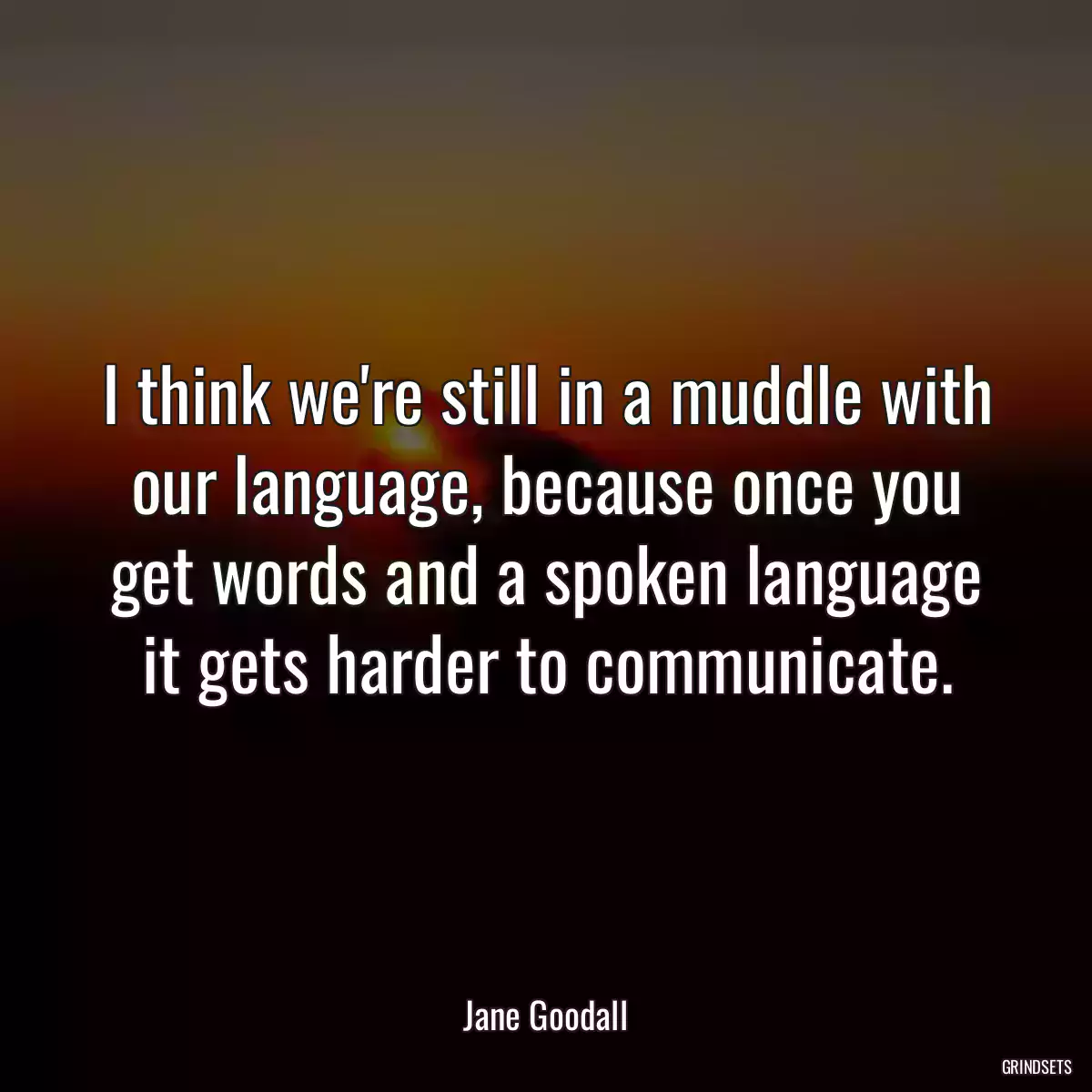 I think we\'re still in a muddle with our language, because once you get words and a spoken language it gets harder to communicate.