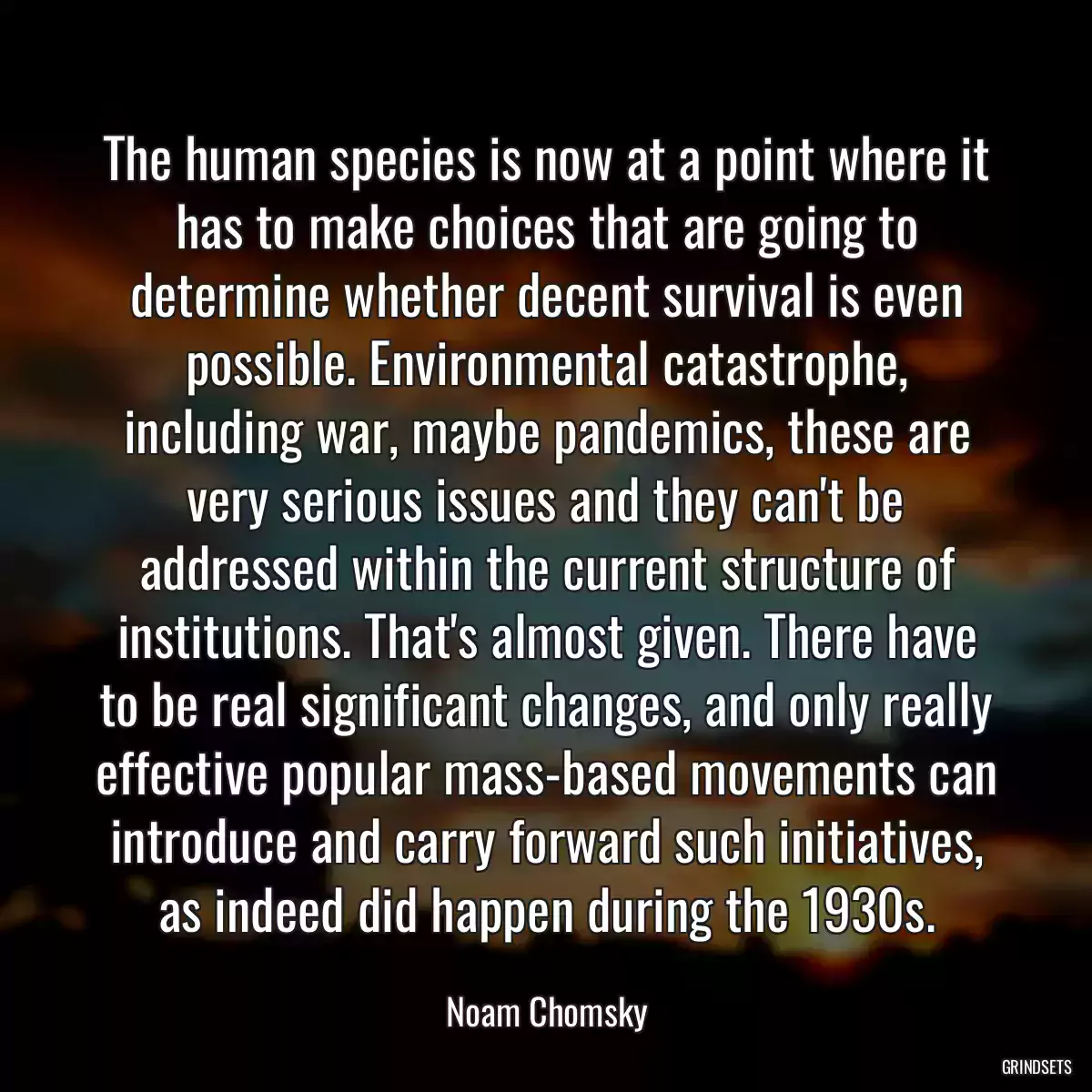 The human species is now at a point where it has to make choices that are going to determine whether decent survival is even possible. Environmental catastrophe, including war, maybe pandemics, these are very serious issues and they can\'t be addressed within the current structure of institutions. That\'s almost given. There have to be real significant changes, and only really effective popular mass-based movements can introduce and carry forward such initiatives, as indeed did happen during the 1930s.