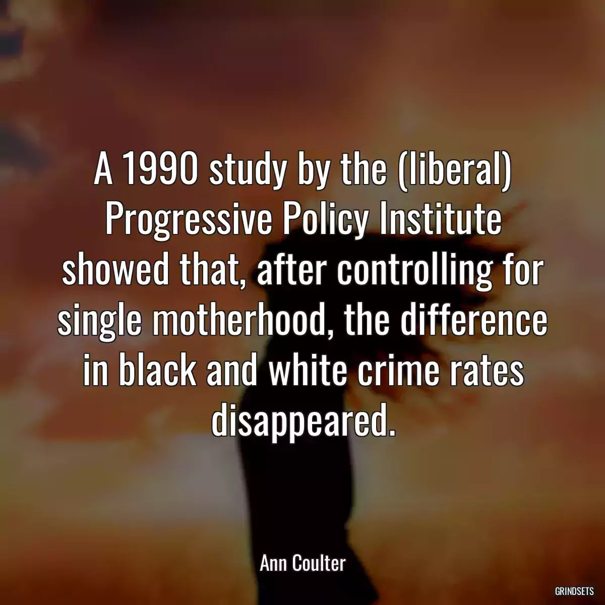 A 1990 study by the (liberal) Progressive Policy Institute showed that, after controlling for single motherhood, the difference in black and white crime rates disappeared.