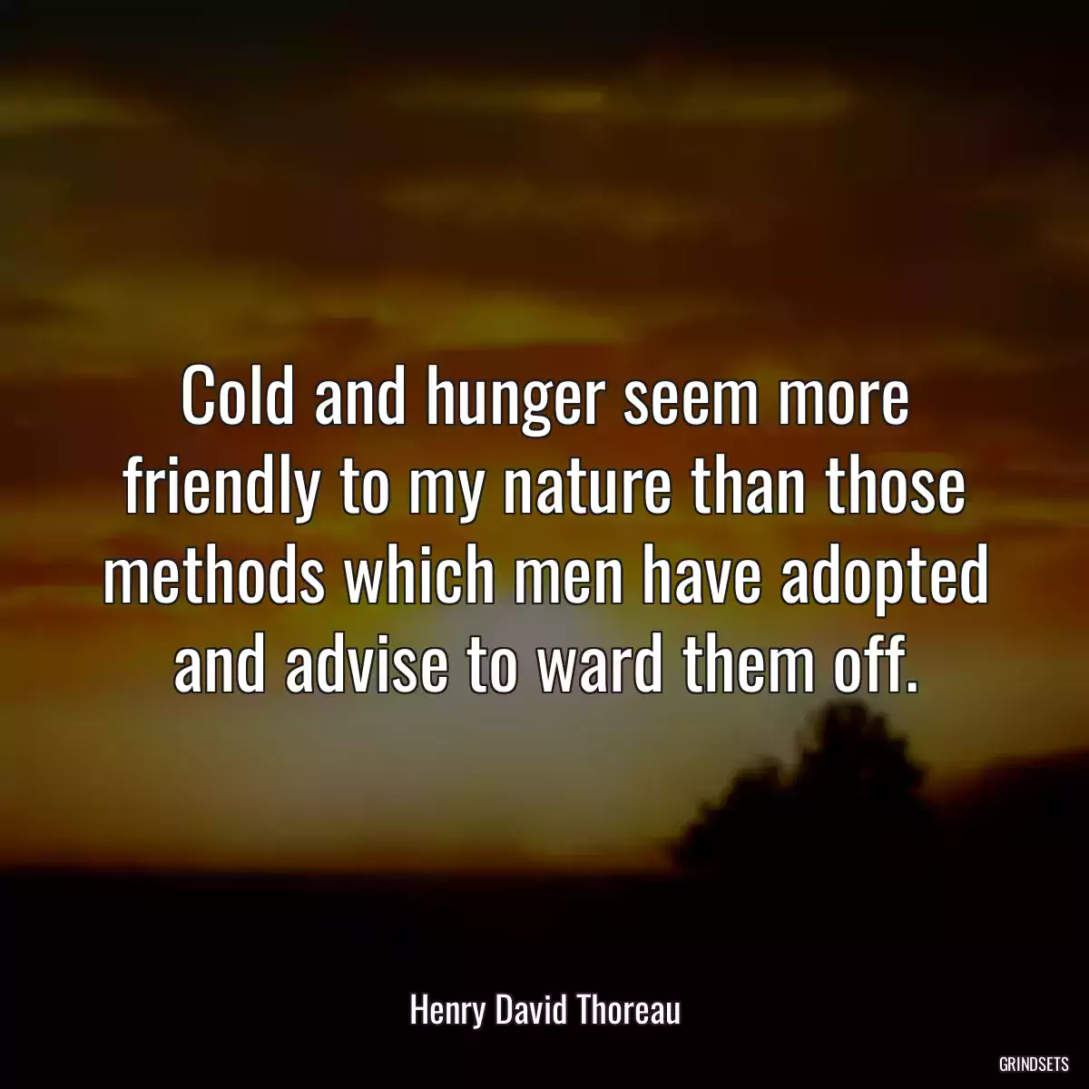 Cold and hunger seem more friendly to my nature than those methods which men have adopted and advise to ward them off.