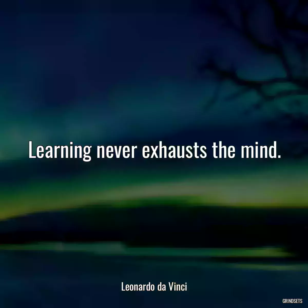 Learning never exhausts the mind.