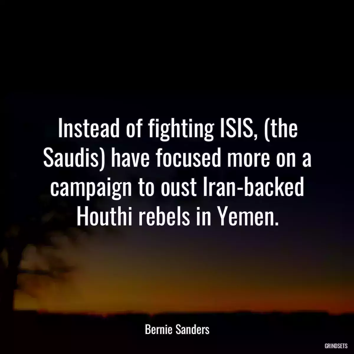 Instead of fighting ISIS, (the Saudis) have focused more on a campaign to oust Iran-backed Houthi rebels in Yemen.