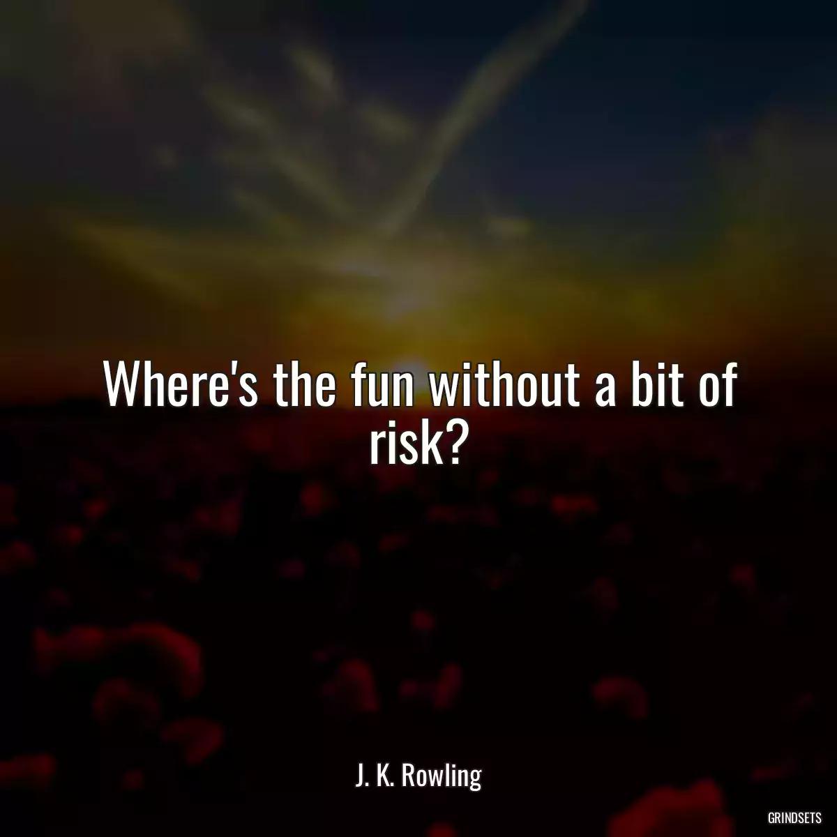 Where\'s the fun without a bit of risk?