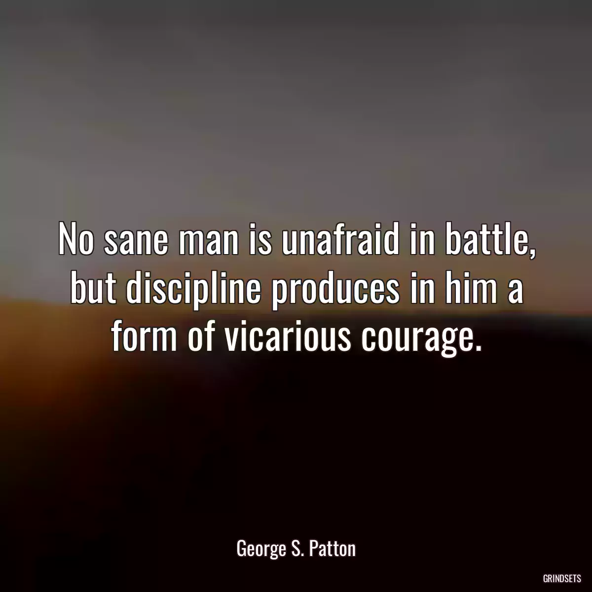 No sane man is unafraid in battle, but discipline produces in him a form of vicarious courage.