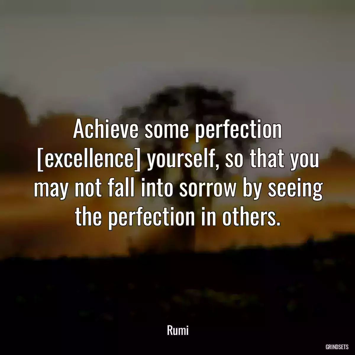 Achieve some perfection [excellence] yourself, so that you may not fall into sorrow by seeing the perfection in others.