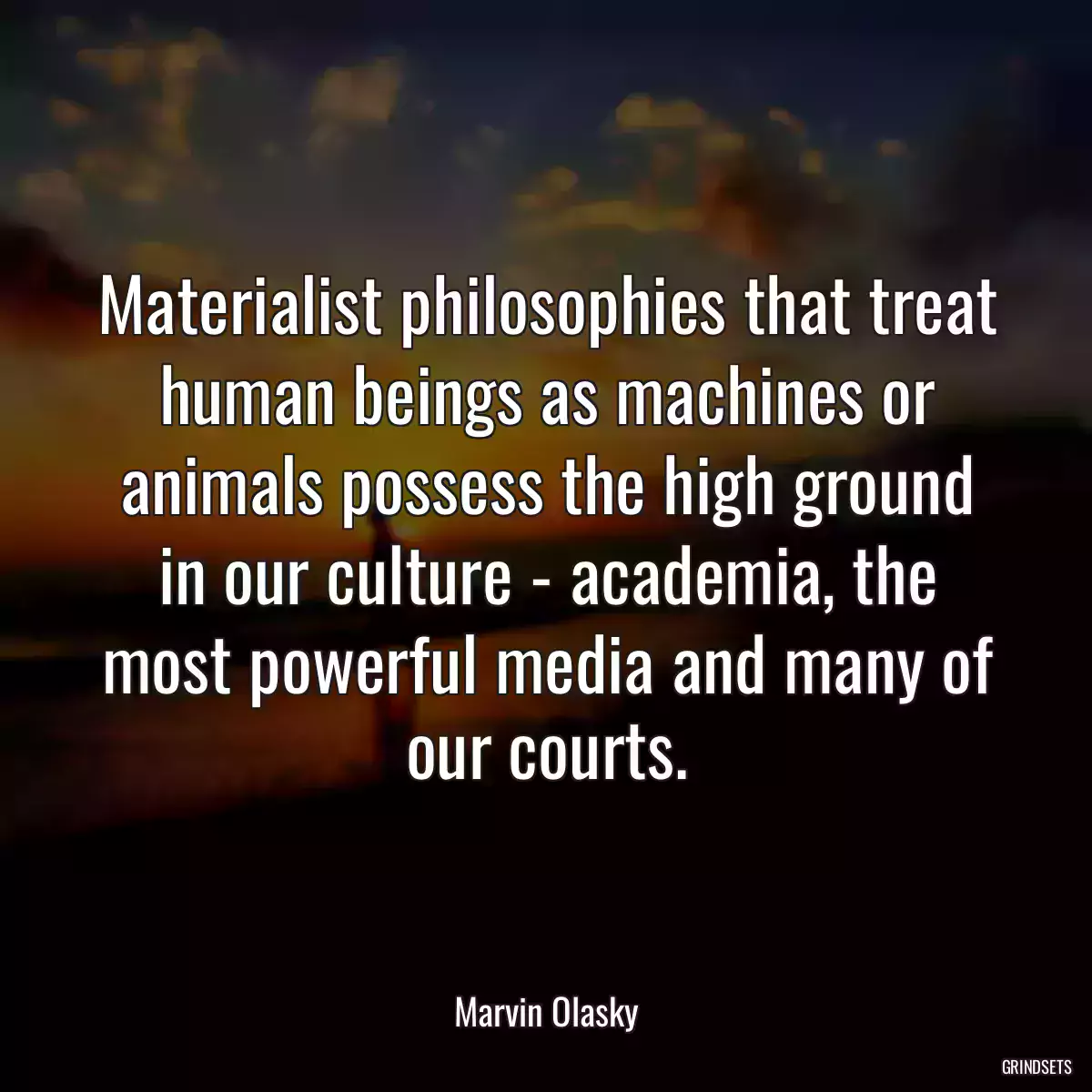 Materialist philosophies that treat human beings as machines or animals possess the high ground in our culture - academia, the most powerful media and many of our courts.