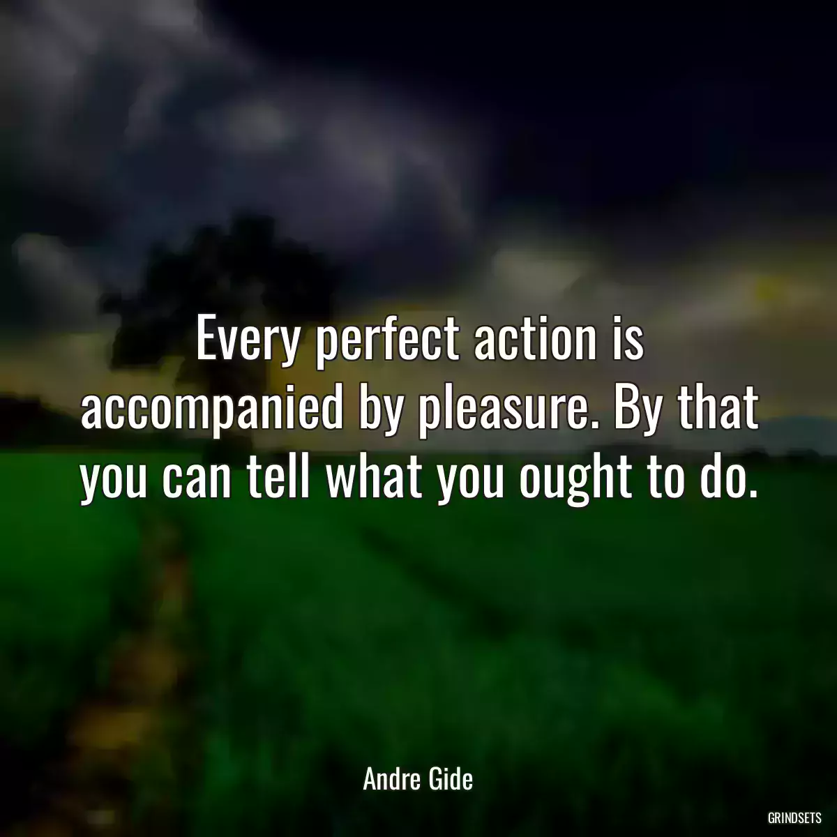 Every perfect action is accompanied by pleasure. By that you can tell what you ought to do.