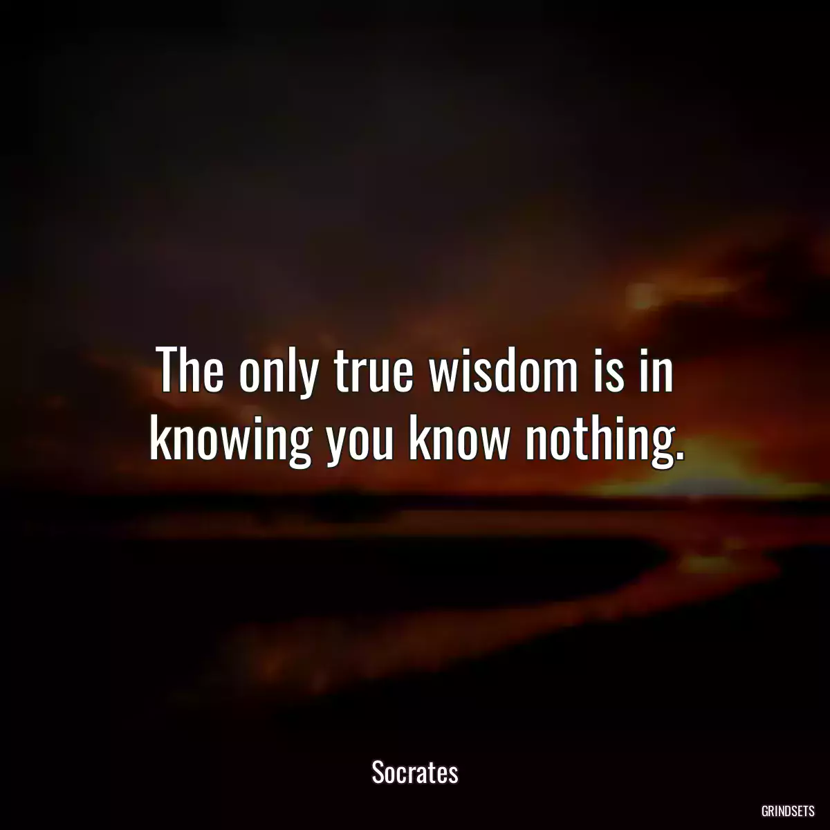 The only true wisdom is in knowing you know nothing.