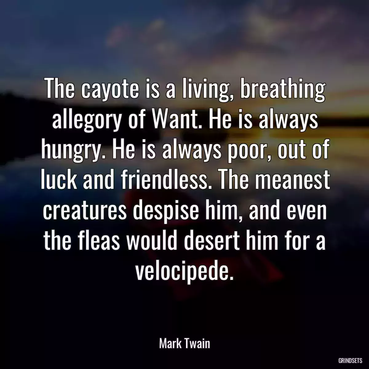 The cayote is a living, breathing allegory of Want. He is always hungry. He is always poor, out of luck and friendless. The meanest creatures despise him, and even the fleas would desert him for a velocipede.