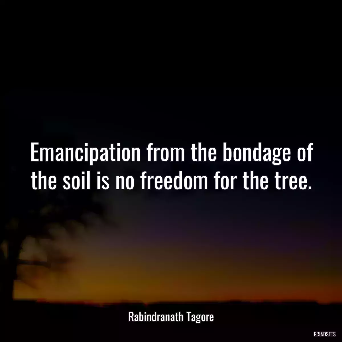 Emancipation from the bondage of the soil is no freedom for the tree.