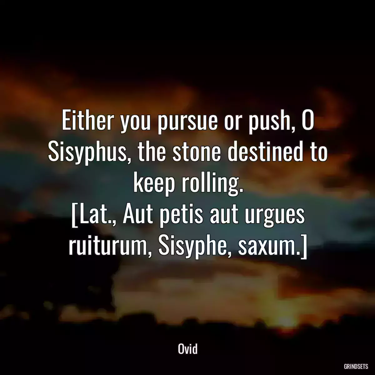 Either you pursue or push, O Sisyphus, the stone destined to keep rolling.
[Lat., Aut petis aut urgues ruiturum, Sisyphe, saxum.]