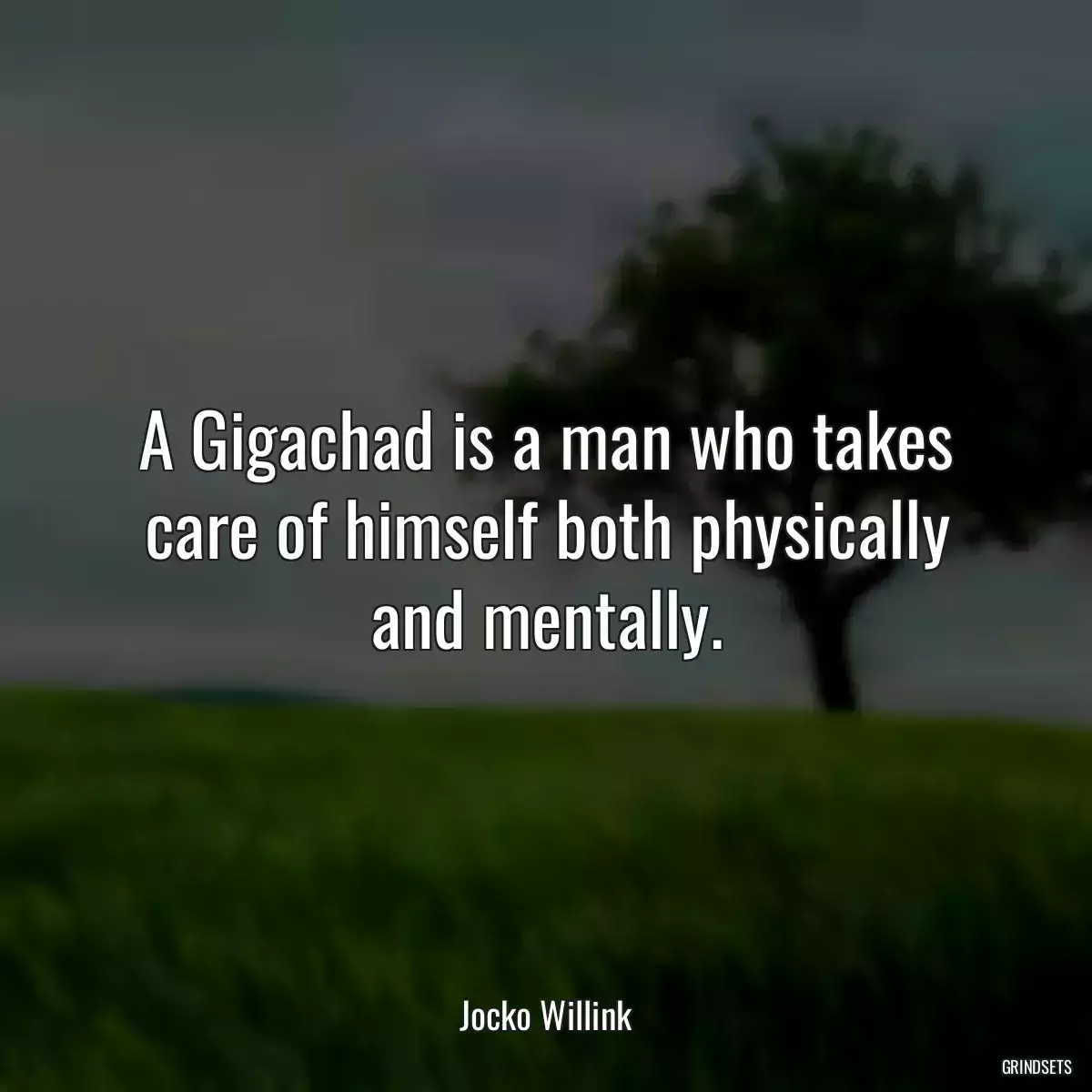 A Gigachad is a man who takes care of himself both physically and mentally.