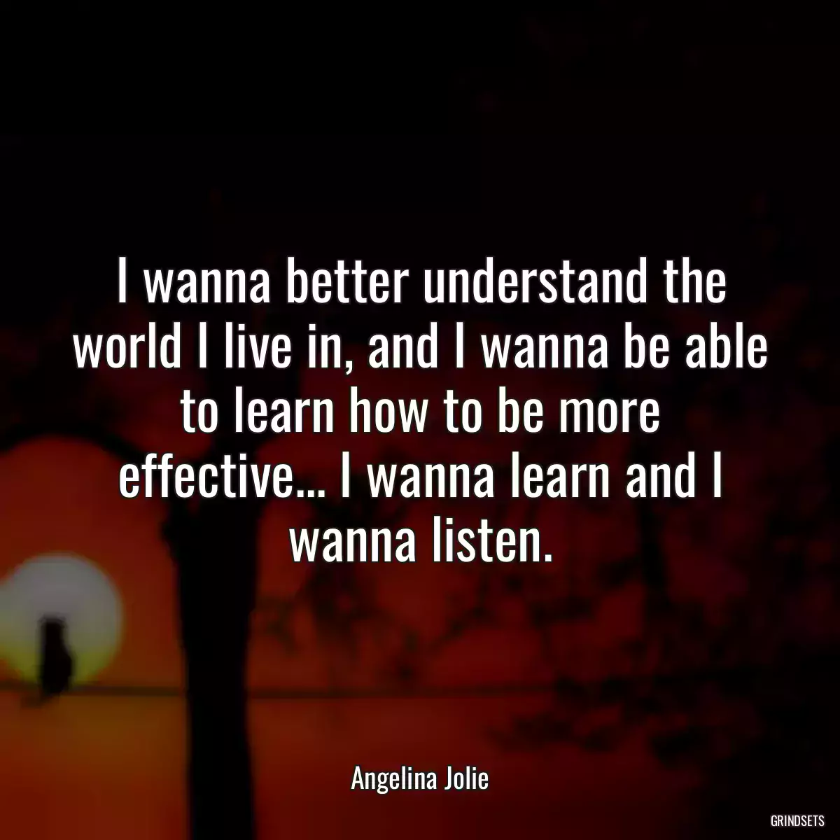 I wanna better understand the world I live in, and I wanna be able to learn how to be more effective... I wanna learn and I wanna listen.