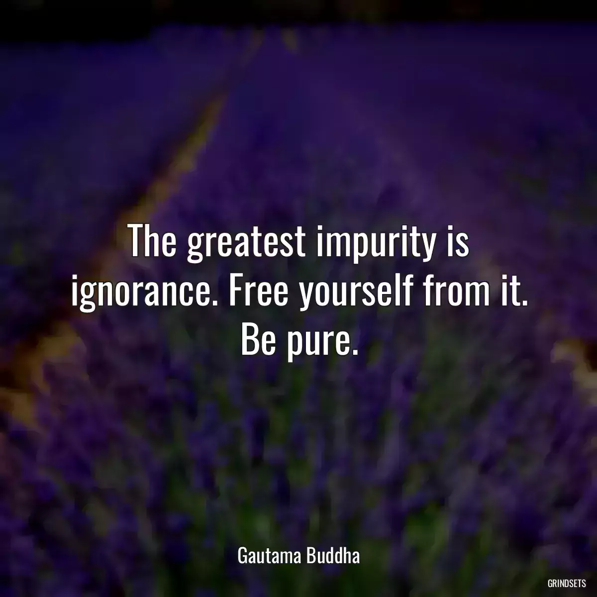 The greatest impurity is ignorance. Free yourself from it. Be pure.