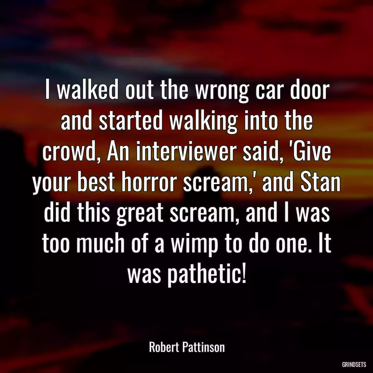 I walked out the wrong car door and started walking into the crowd, An interviewer said, \'Give your best horror scream,\' and Stan did this great scream, and I was too much of a wimp to do one. It was pathetic!