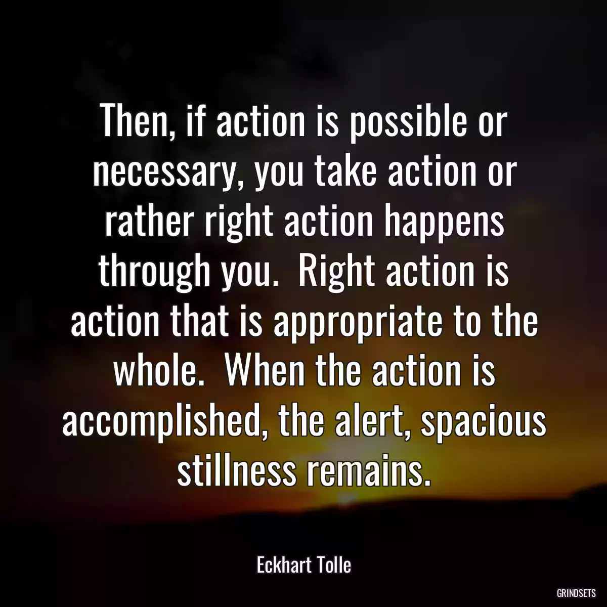 Then, if action is possible or necessary, you take action or rather right action happens through you.  Right action is action that is appropriate to the whole.  When the action is accomplished, the alert, spacious stillness remains.