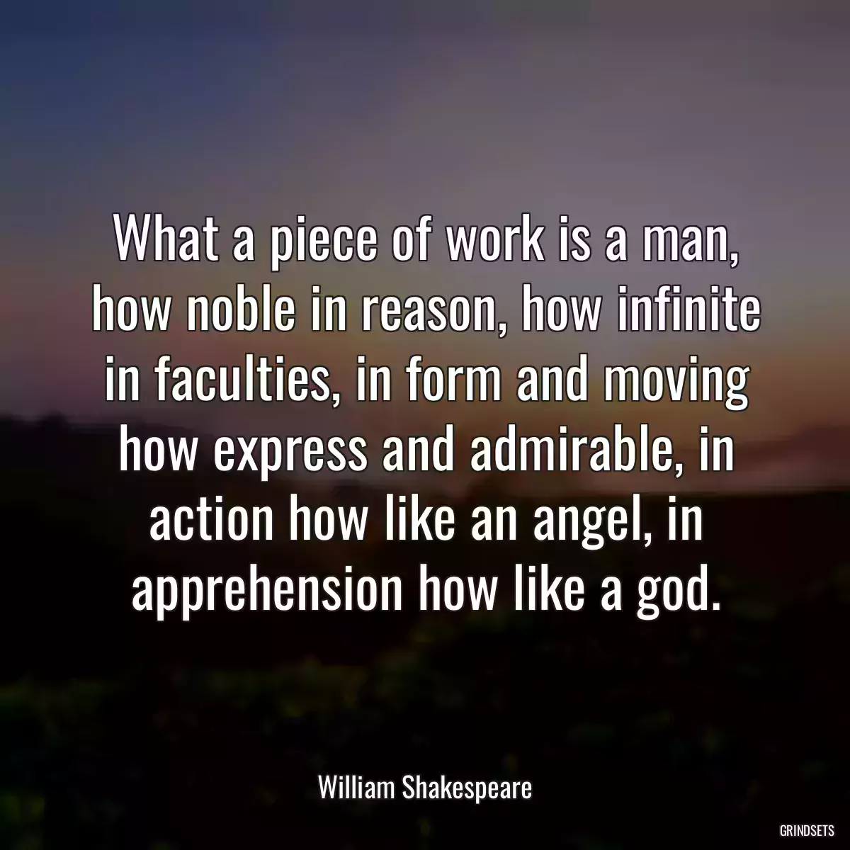 What a piece of work is a man, how noble in reason, how infinite in faculties, in form and moving how express and admirable, in action how like an angel, in apprehension how like a god.