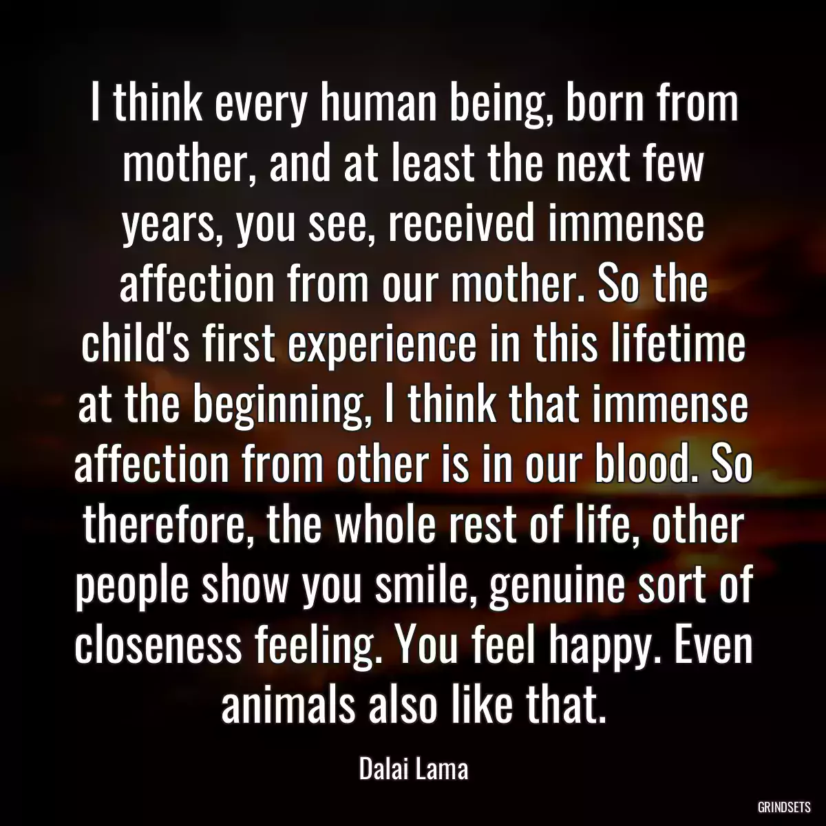 I think every human being, born from mother, and at least the next few years, you see, received immense affection from our mother. So the child\'s first experience in this lifetime at the beginning, I think that immense affection from other is in our blood. So therefore, the whole rest of life, other people show you smile, genuine sort of closeness feeling. You feel happy. Even animals also like that.