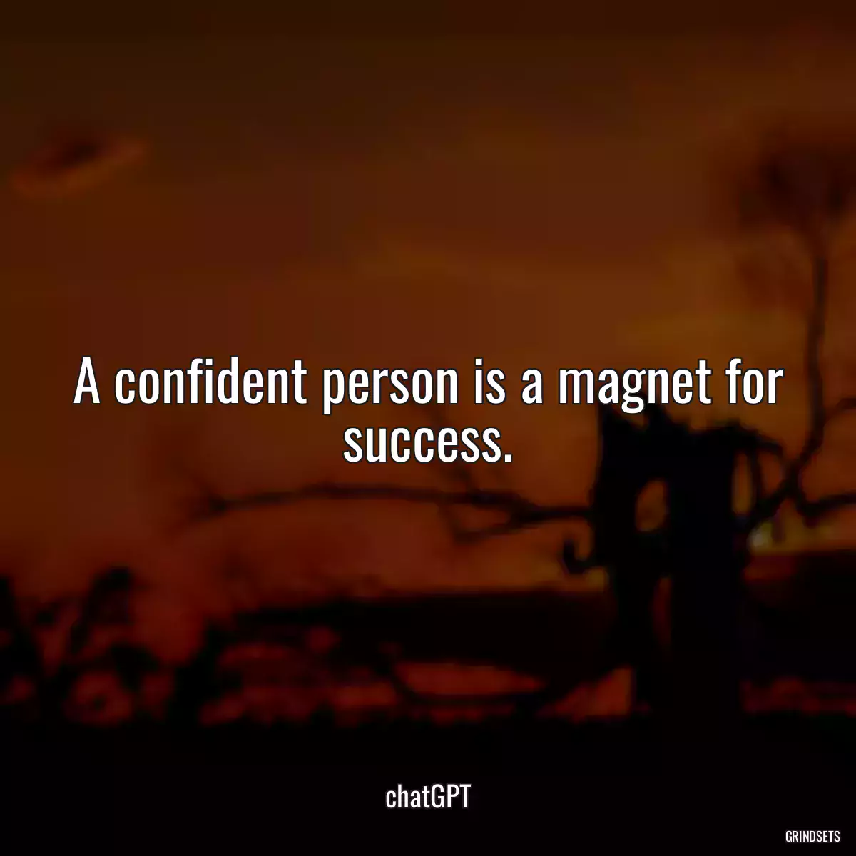 A confident person is a magnet for success.