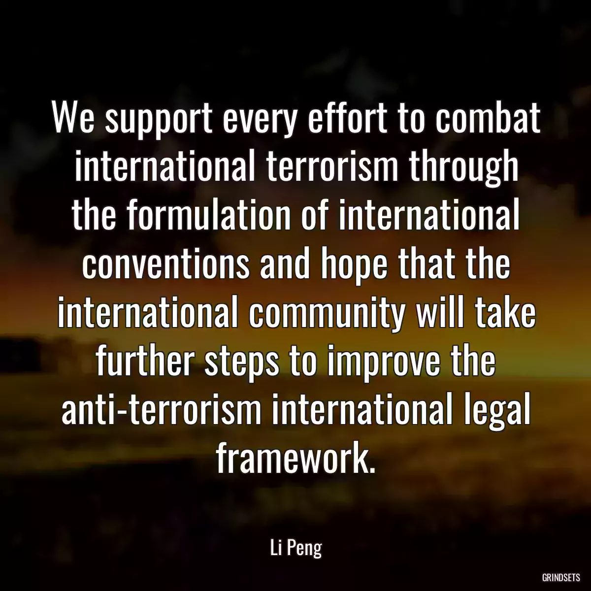 We support every effort to combat international terrorism through the formulation of international conventions and hope that the international community will take further steps to improve the anti-terrorism international legal framework.