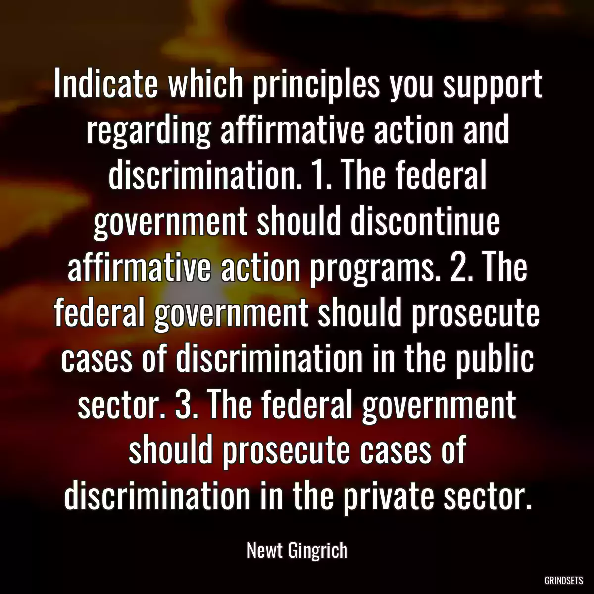 Indicate which principles you support regarding affirmative action and discrimination. 1. The federal government should discontinue affirmative action programs. 2. The federal government should prosecute cases of discrimination in the public sector. 3. The federal government should prosecute cases of discrimination in the private sector.