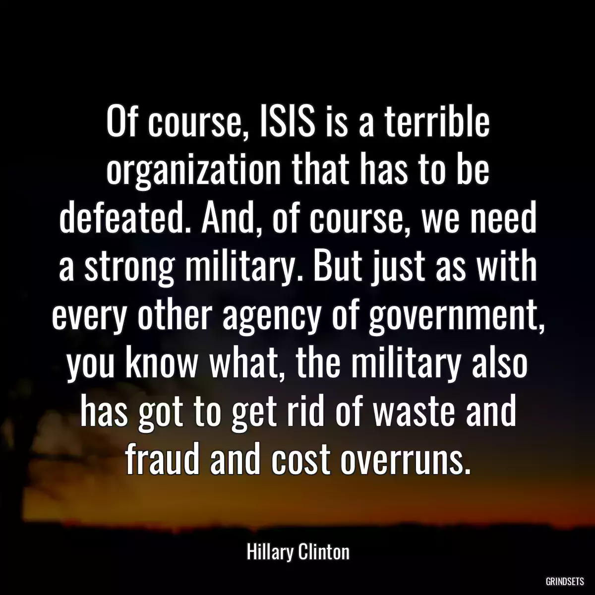 Of course, ISIS is a terrible organization that has to be defeated. And, of course, we need a strong military. But just as with every other agency of government, you know what, the military also has got to get rid of waste and fraud and cost overruns.