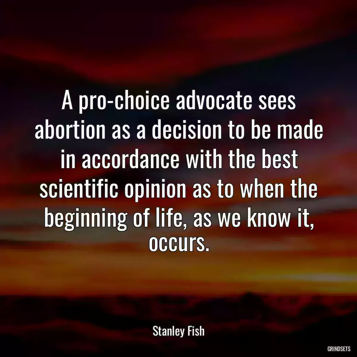 A pro-choice advocate sees abortion as a decision to be made in accordance with the best scientific opinion as to when the beginning of life, as we know it, occurs.