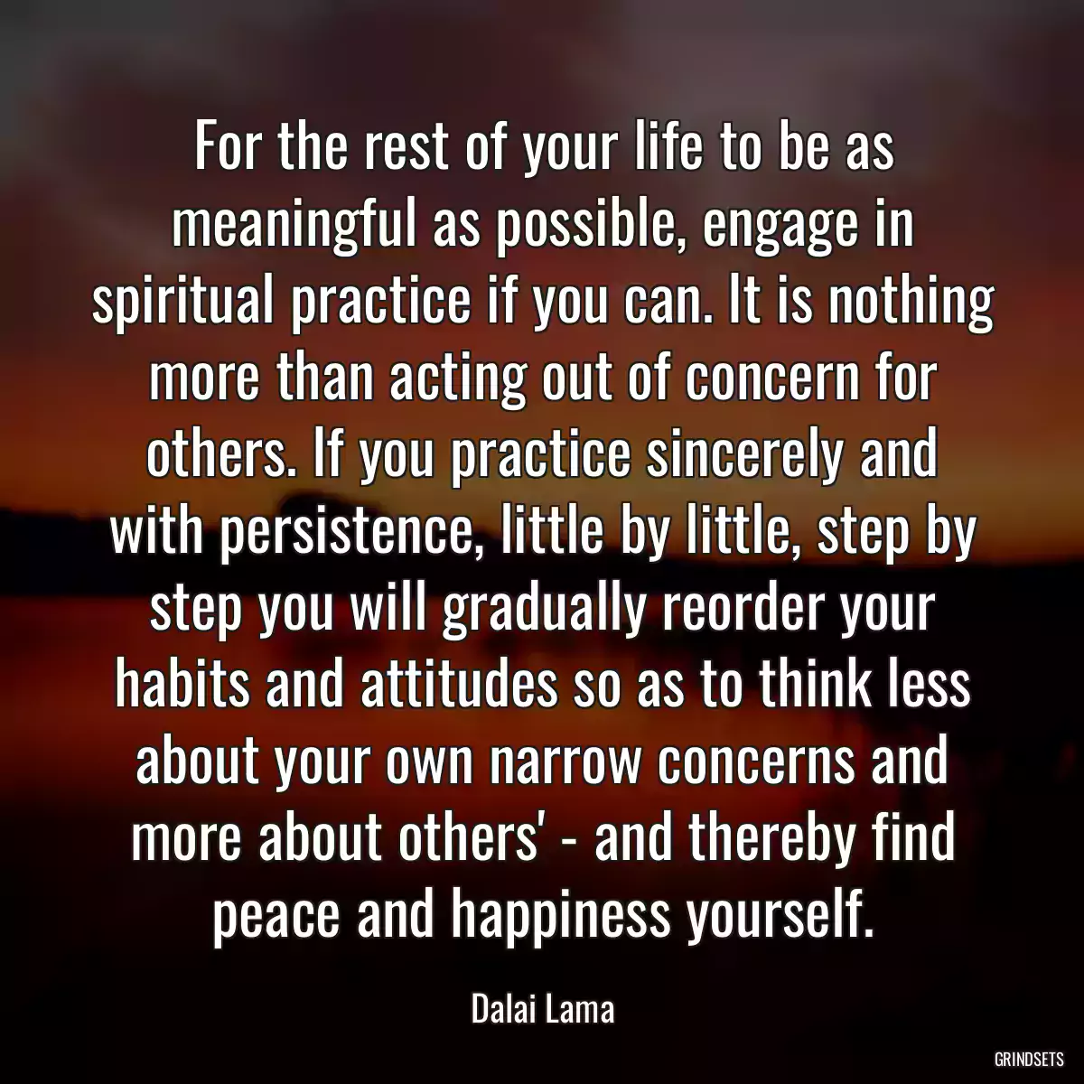 For the rest of your life to be as meaningful as possible, engage in spiritual practice if you can. It is nothing more than acting out of concern for others. If you practice sincerely and with persistence, little by little, step by step you will gradually reorder your habits and attitudes so as to think less about your own narrow concerns and more about others\' - and thereby find peace and happiness yourself.