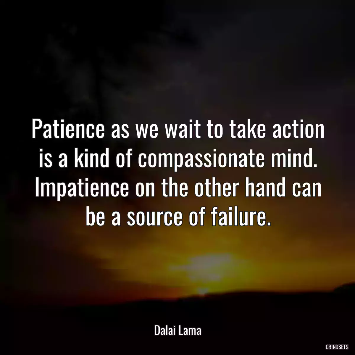 Patience as we wait to take action is a kind of compassionate mind. Impatience on the other hand can be a source of failure.