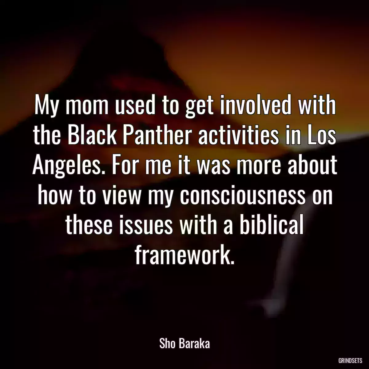 My mom used to get involved with the Black Panther activities in Los Angeles. For me it was more about how to view my consciousness on these issues with a biblical framework.