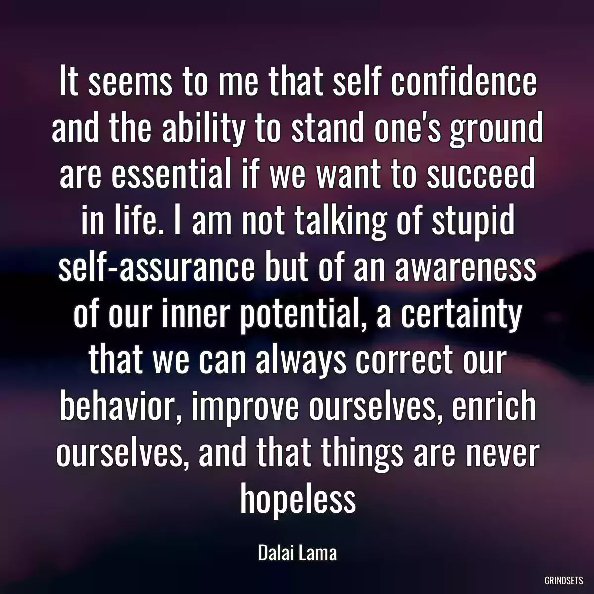 It seems to me that self confidence and the ability to stand one\'s ground are essential if we want to succeed in life. I am not talking of stupid self-assurance but of an awareness of our inner potential, a certainty that we can always correct our behavior, improve ourselves, enrich ourselves, and that things are never hopeless