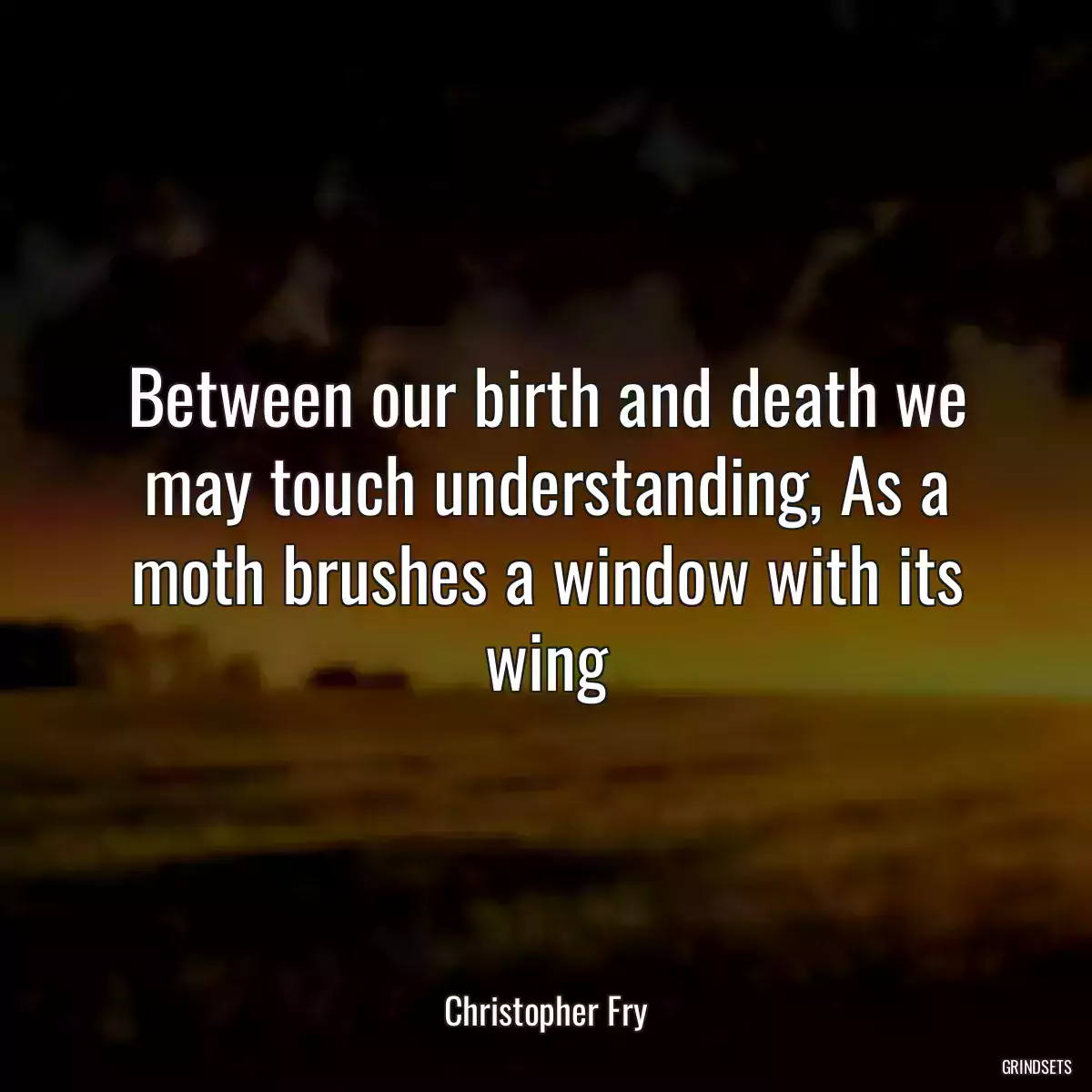 Between our birth and death we may touch understanding, As a moth brushes a window with its wing