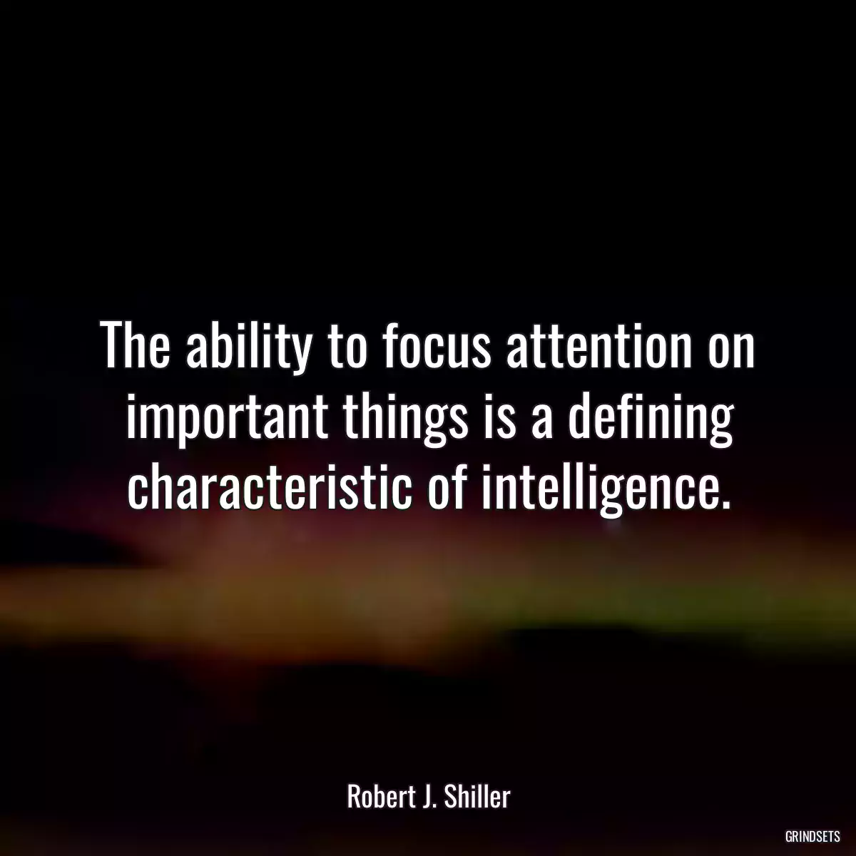 The ability to focus attention on important things is a defining characteristic of intelligence.