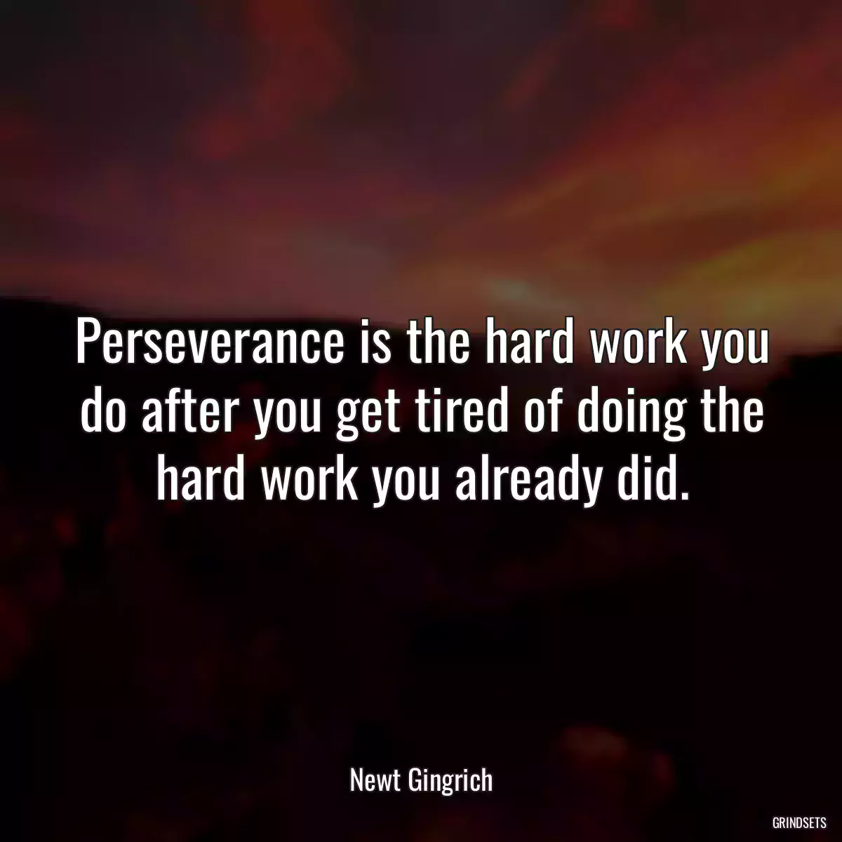 Perseverance is the hard work you do after you get tired of doing the hard work you already did.