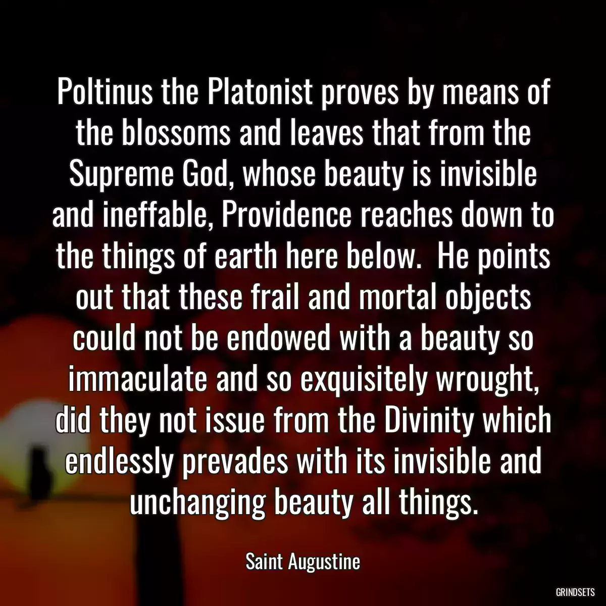 Poltinus the Platonist proves by means of the blossoms and leaves that from the Supreme God, whose beauty is invisible and ineffable, Providence reaches down to the things of earth here below.  He points out that these frail and mortal objects could not be endowed with a beauty so immaculate and so exquisitely wrought, did they not issue from the Divinity which endlessly prevades with its invisible and unchanging beauty all things.