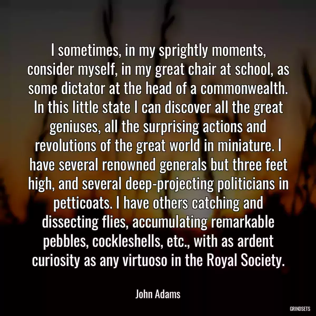 I sometimes, in my sprightly moments, consider myself, in my great chair at school, as some dictator at the head of a commonwealth. In this little state I can discover all the great geniuses, all the surprising actions and revolutions of the great world in miniature. I have several renowned generals but three feet high, and several deep-projecting politicians in petticoats. I have others catching and dissecting flies, accumulating remarkable pebbles, cockleshells, etc., with as ardent curiosity as any virtuoso in the Royal Society.