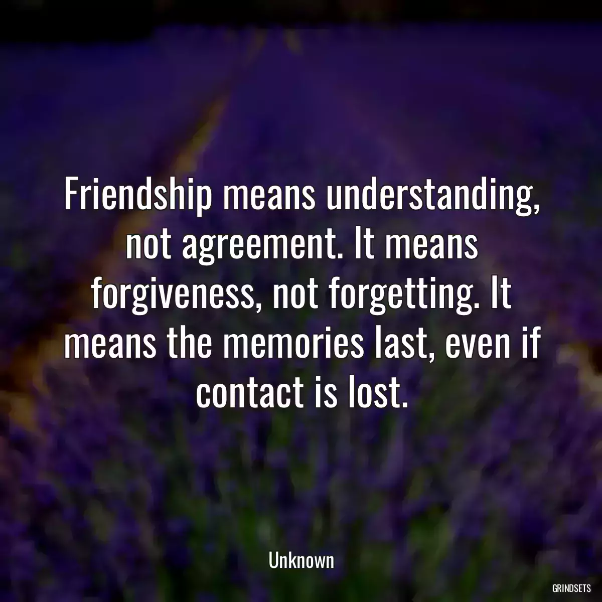 Friendship means understanding, not agreement. It means forgiveness, not forgetting. It means the memories last, even if contact is lost.