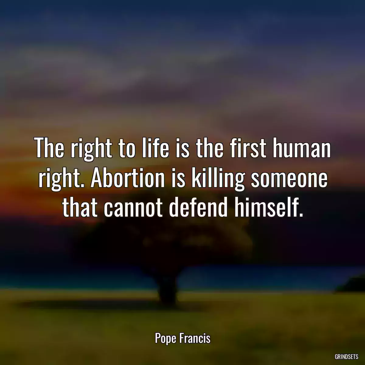 The right to life is the first human right. Abortion is killing someone that cannot defend himself.