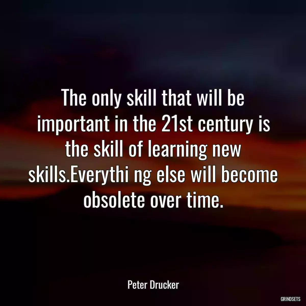 The only skill that will be important in the 21st century is the skill of learning new skills.Everythi ng else will become obsolete over time.