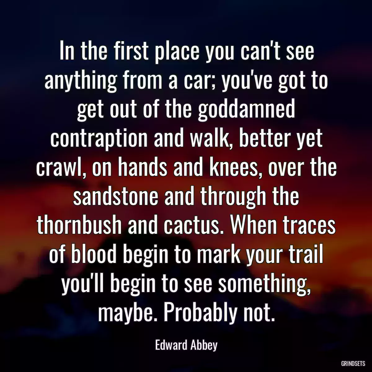 In the first place you can\'t see anything from a car; you\'ve got to get out of the goddamned contraption and walk, better yet crawl, on hands and knees, over the sandstone and through the thornbush and cactus. When traces of blood begin to mark your trail you\'ll begin to see something, maybe. Probably not.