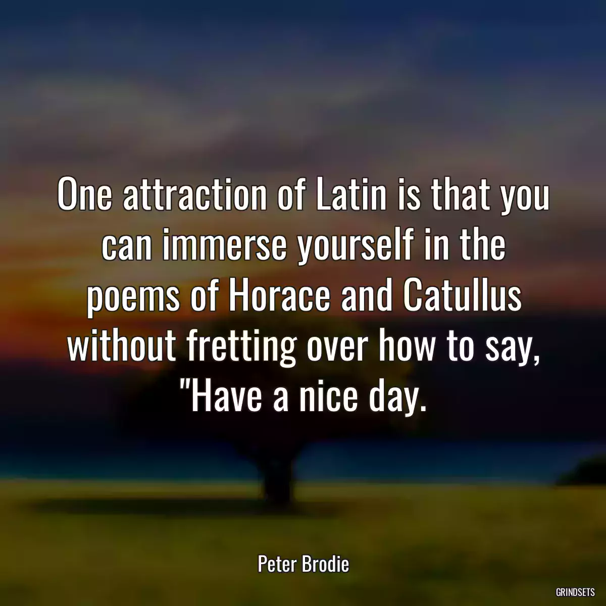 One attraction of Latin is that you can immerse yourself in the poems of Horace and Catullus without fretting over how to say, \