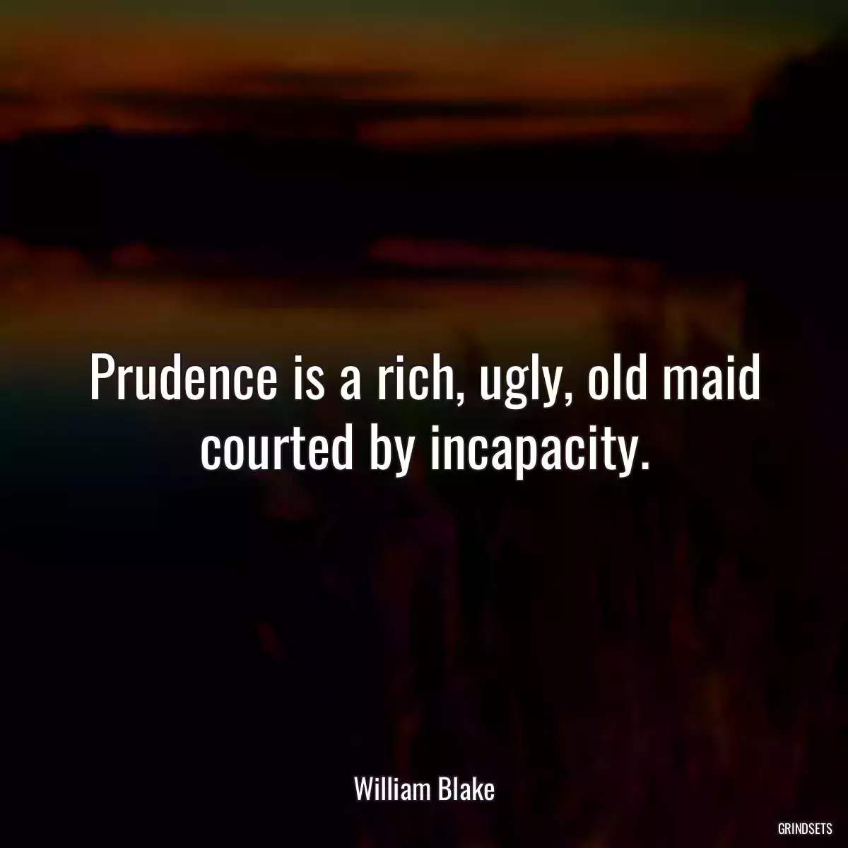 Prudence is a rich, ugly, old maid courted by incapacity.