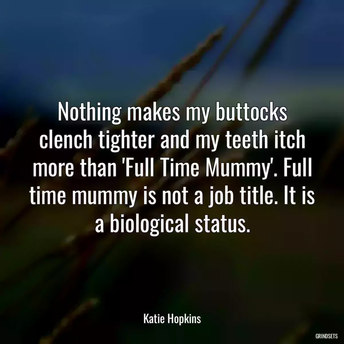 Nothing makes my buttocks clench tighter and my teeth itch more than \'Full Time Mummy\'. Full time mummy is not a job title. It is a biological status.