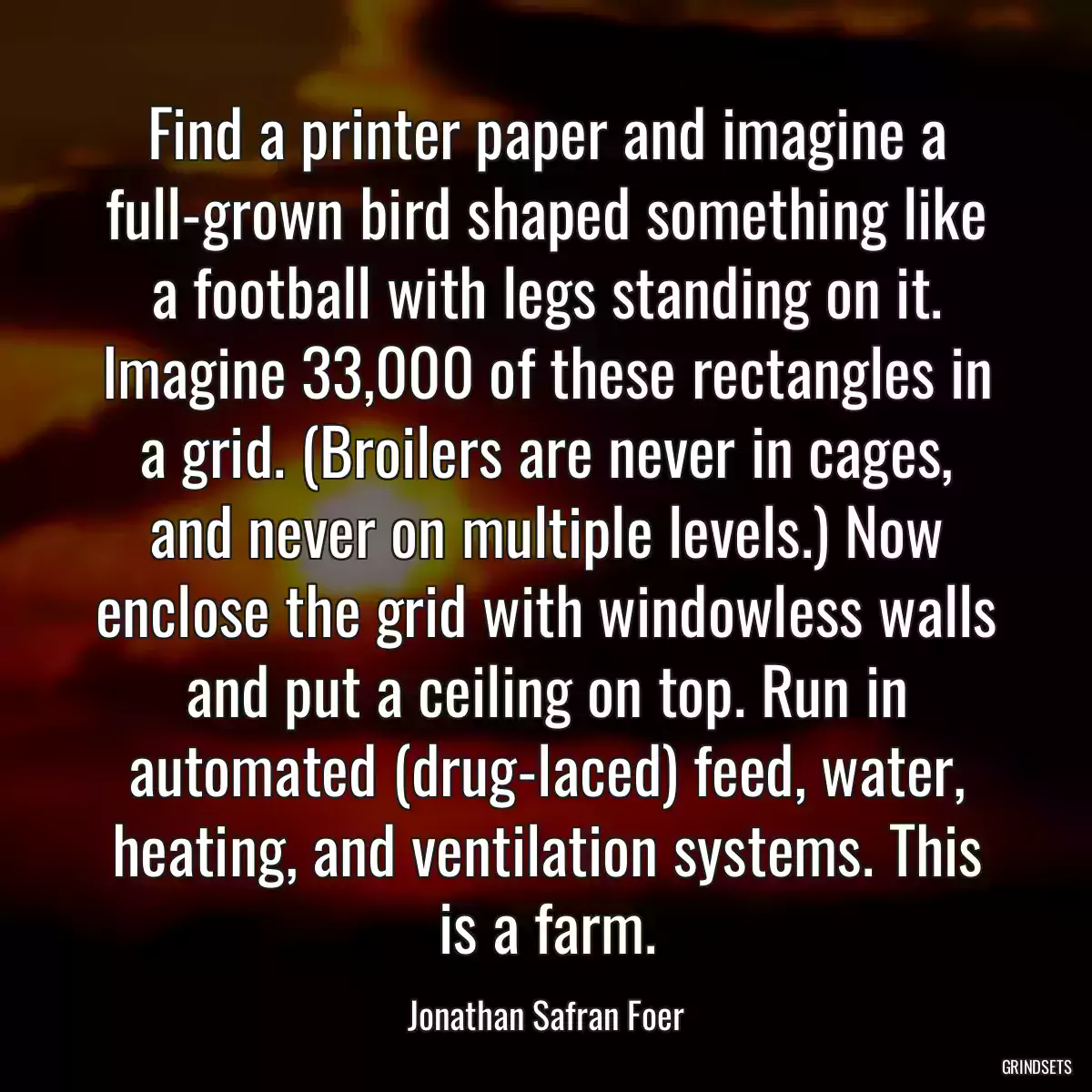 Find a printer paper and imagine a full-grown bird shaped something like a football with legs standing on it. Imagine 33,000 of these rectangles in a grid. (Broilers are never in cages, and never on multiple levels.) Now enclose the grid with windowless walls and put a ceiling on top. Run in automated (drug-laced) feed, water, heating, and ventilation systems. This is a farm.